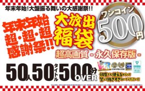 【VR】【500円ワンコイン】年末年始超・超・超・感謝祭!!大放出 福袋 50人50タイトル500分OVER-超高画質 永久保存版-