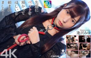 【4K】先輩にペットを預かってほしいと頼まれました… 逢沢みゆ